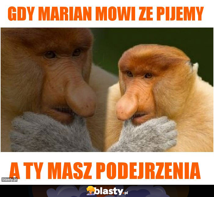 Gdy Marian mowi ze pijemy Gdy Marian mowi ze pijemy