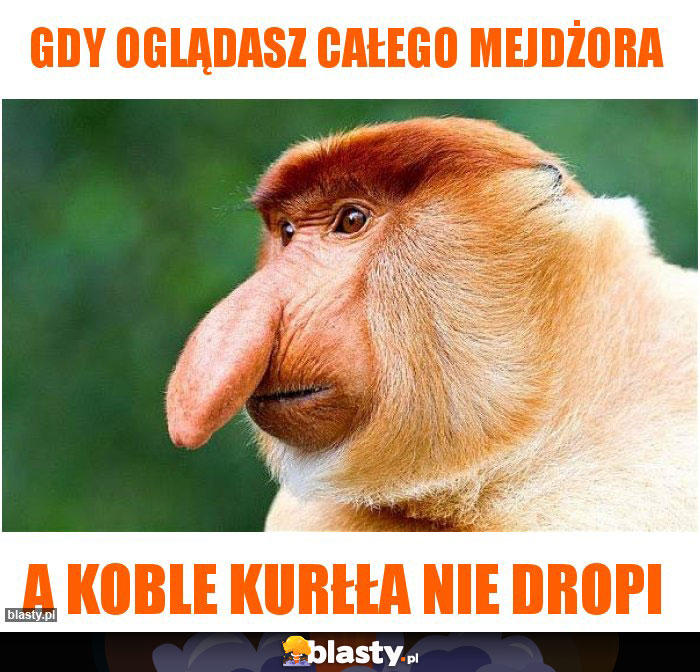 Gdy oglądasz całego mejdżora Gdy oglądasz całego mejdżora