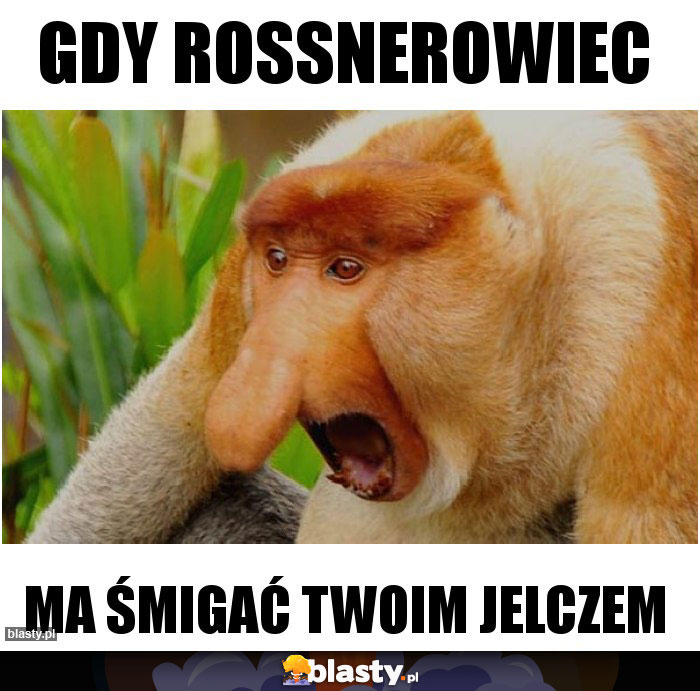 Gdy rossnerowiec