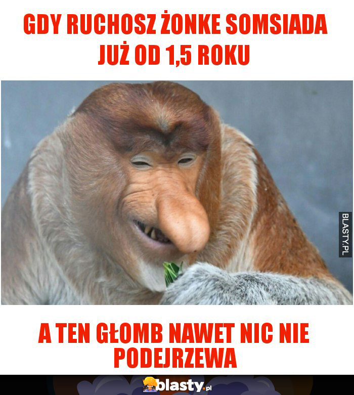 Gdy ruchosz żonke somsiada już od 1,5 roku Gdy ruchosz żonke somsiada już od 1,5 roku