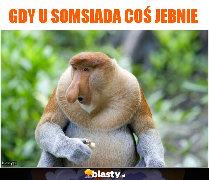 Gdy u somsiada coś jebnie Gdy u somsiada coś jebnie