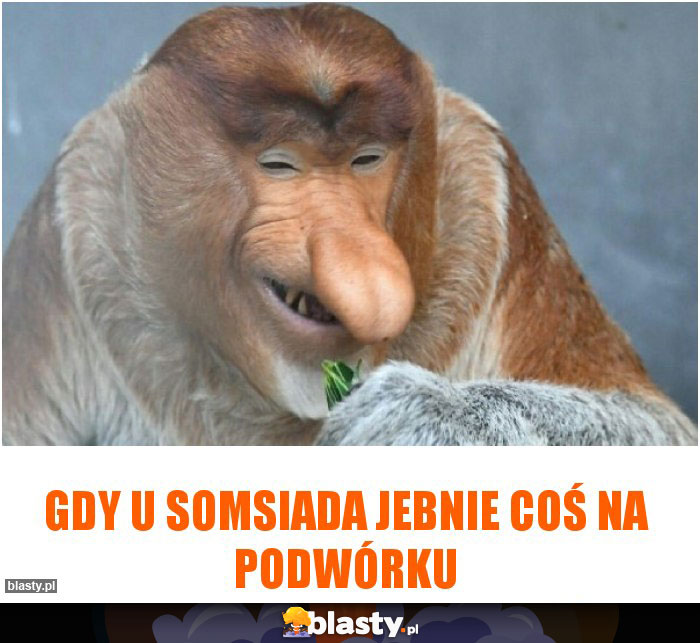 Gdy u somsiada jebnie coś na podwórku Gdy u somsiada jebnie coś na podwórku