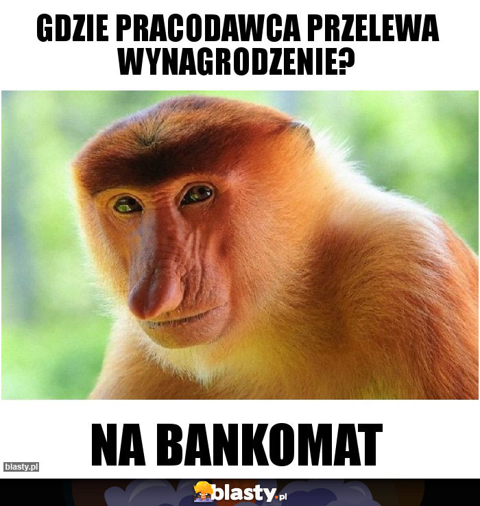 GDZIE PRACODAWCA PRZELEWA WYNAGRODZENIE?