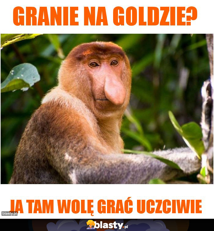 granie na goldzie?