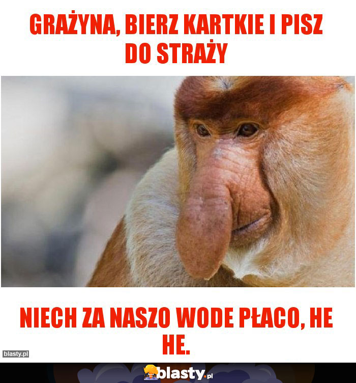 Grażyna, bierz kartkie i pisz do straży