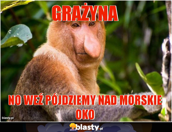 Grażyna
