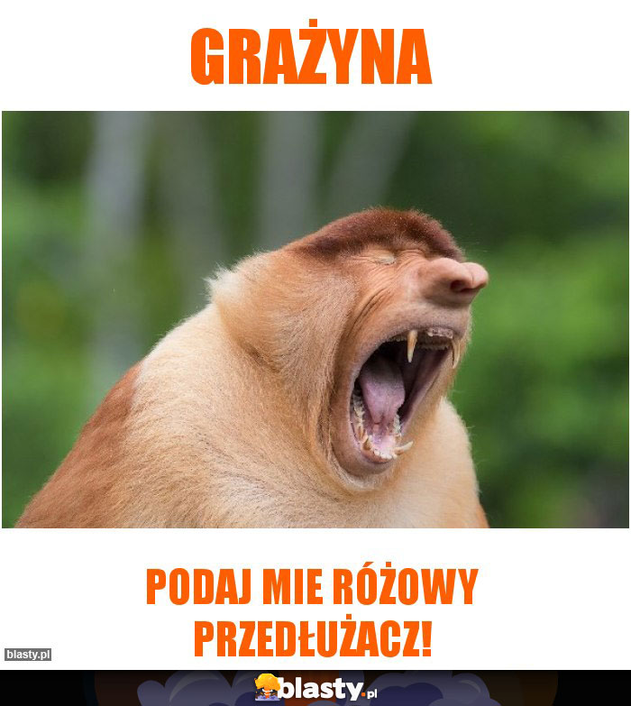 Grażyna
