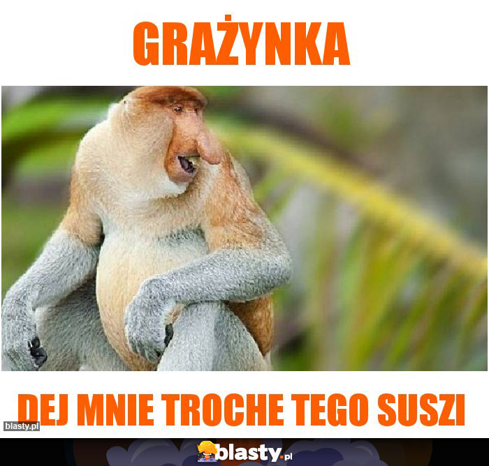 Grażynka