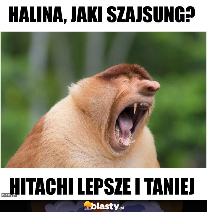 Halina, Jaki szajsung? Halina, Jaki szajsung?