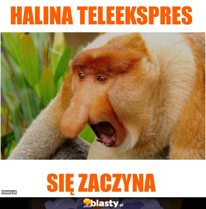 Halina teleekspres