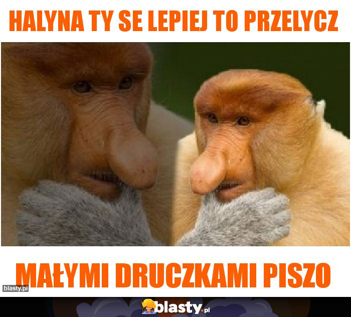 HALYNA TY SE LEPIEJ TO PRZELYCZ