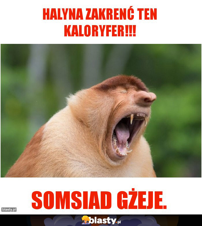 Halyna zakrenć ten kaloryfer!!! Halyna zakrenć ten kaloryfer!!!