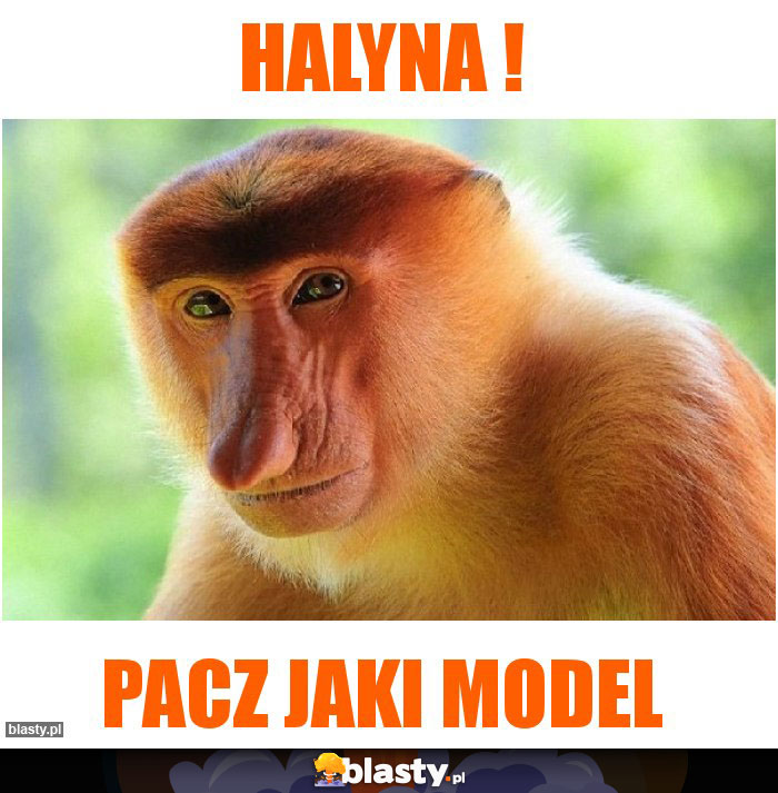 Halyna !