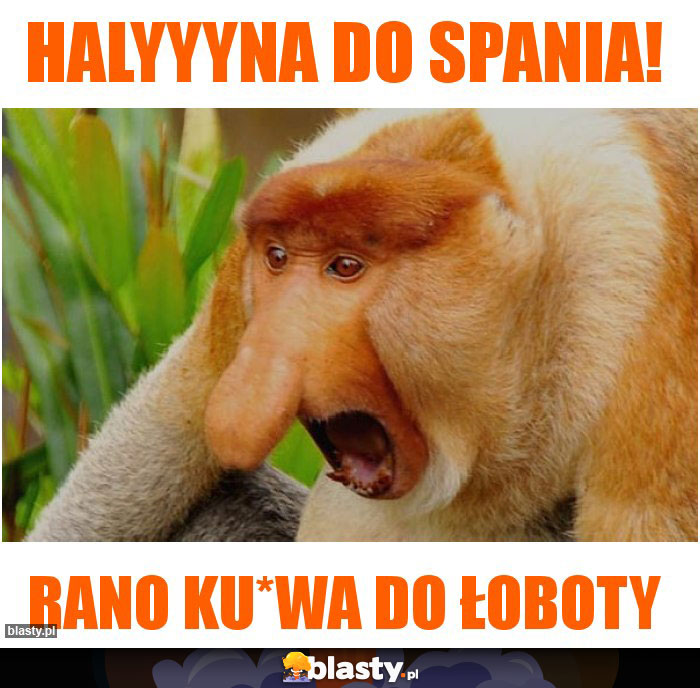 Halyyyna do spania!