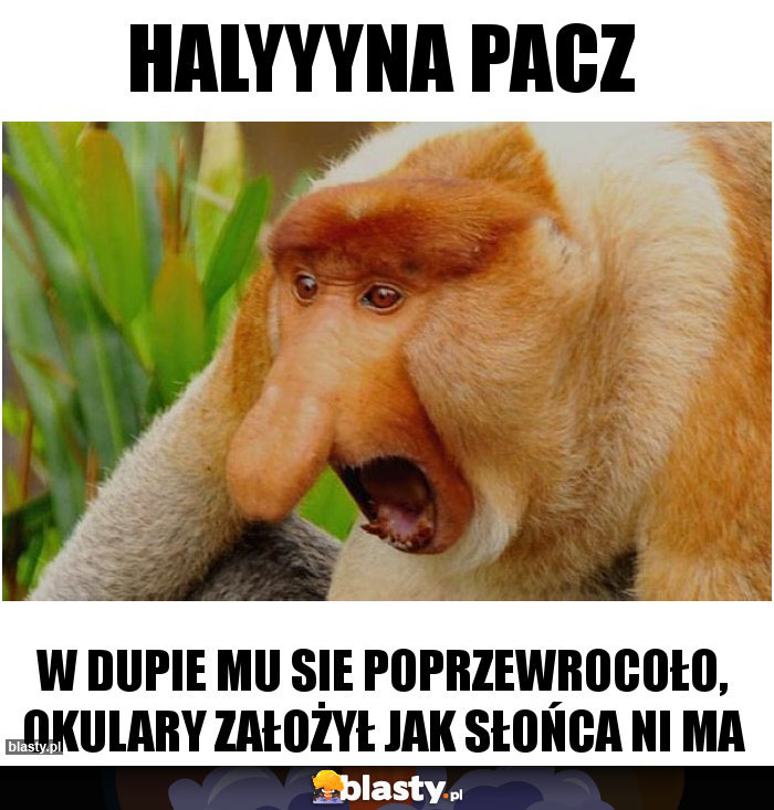 HALYYYNA PACZ HALYYYNA PACZ