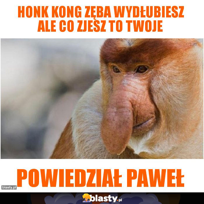 Honk kong Zęba wydłubiesz ale co zjesz to twoje