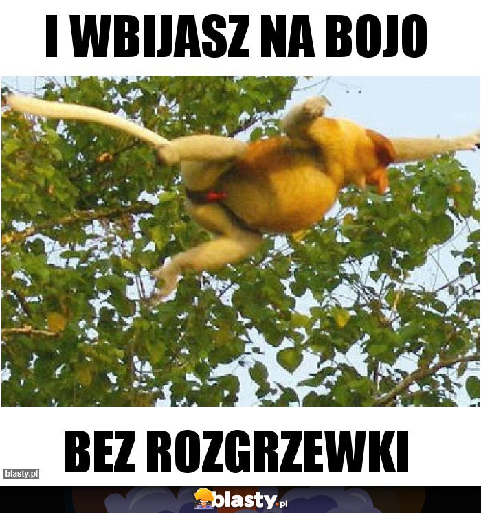 I wbijasz na bojo I wbijasz na bojo