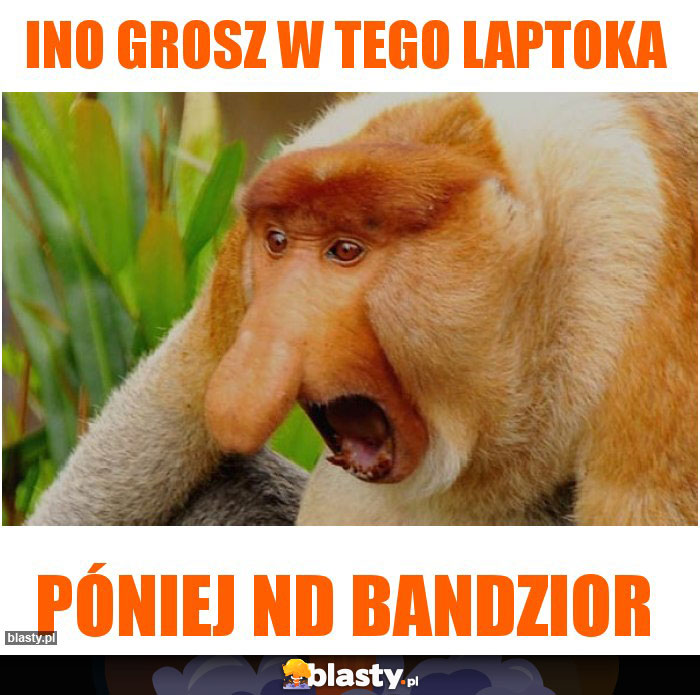 ino grosz w tego laptoka