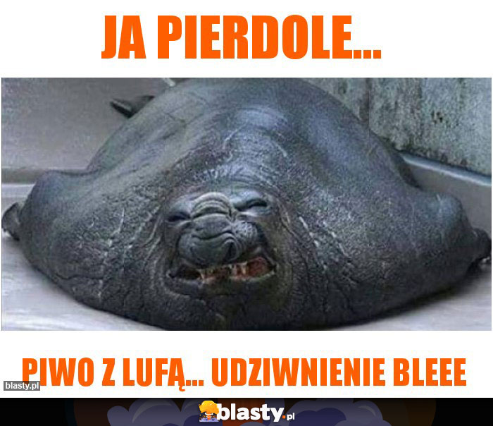 Ja pierdole... Ja pierdole...