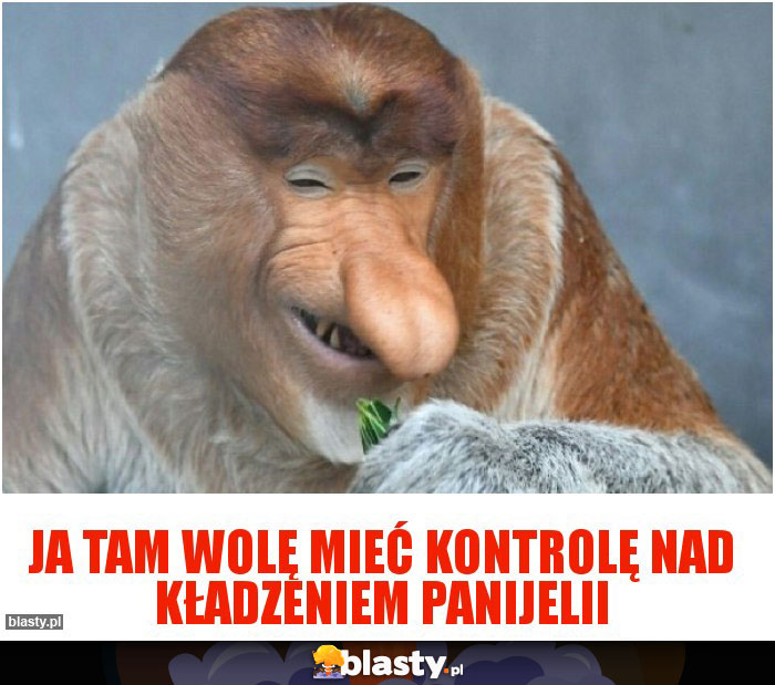 JA TAM WOLĘ MIEĆ KONTROLĘ NAD KŁADZENIEM PANIJELII JA TAM WOLĘ MIEĆ KONTROLĘ NAD KŁADZENIEM PANIJELII