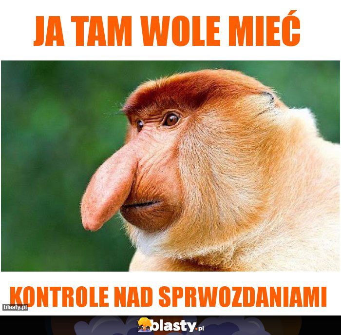 Ja tam wole mieć