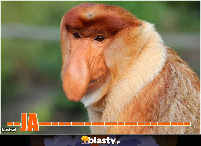 --ja-----------------------