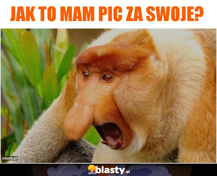 Jak to mam pic za swoje? Jak to mam pic za swoje?
