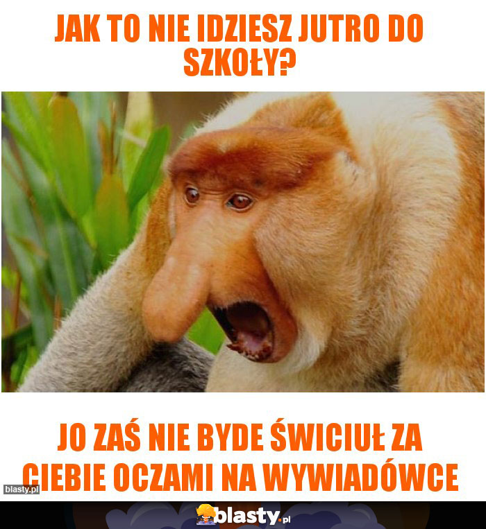 jak to nie idziesz jutro do szkoły? jak to nie idziesz jutro do szkoły?