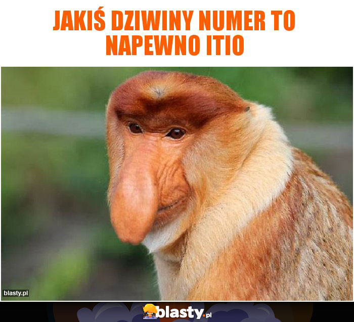 jakiś dziwiny numer to napewno itio