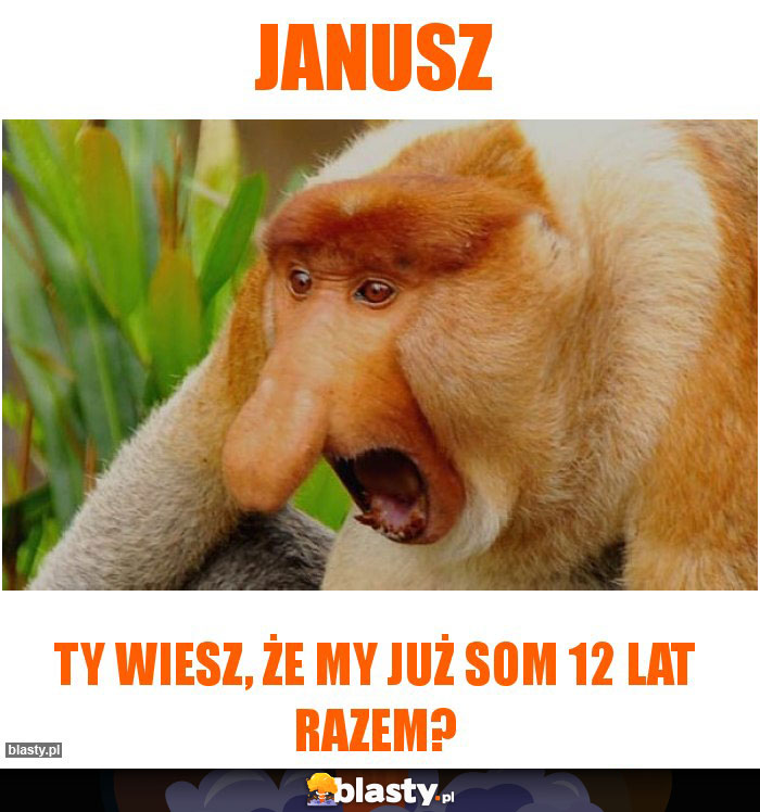 Janusz