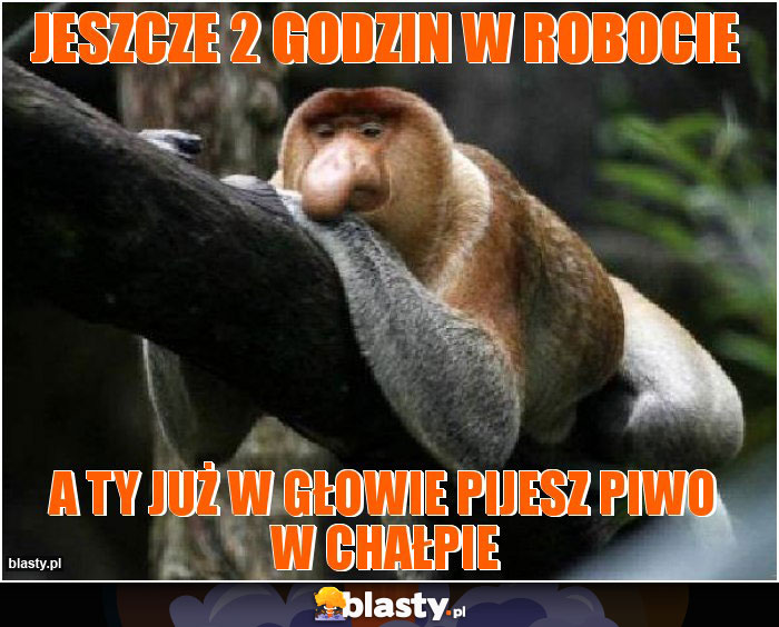 jeszcze 2 godzin w robocie