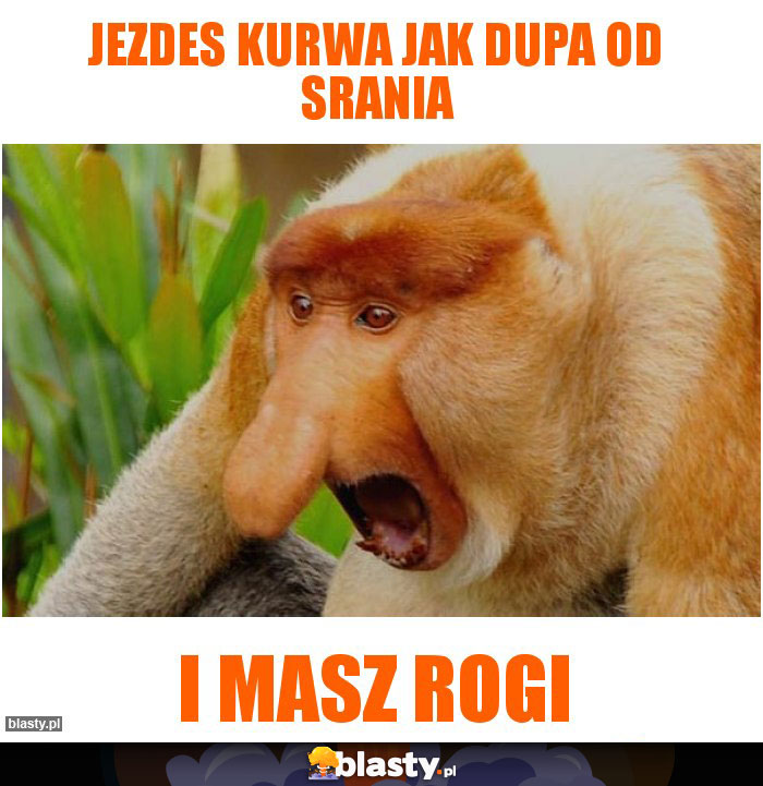 Jezdes kurwa jak dupa od srania