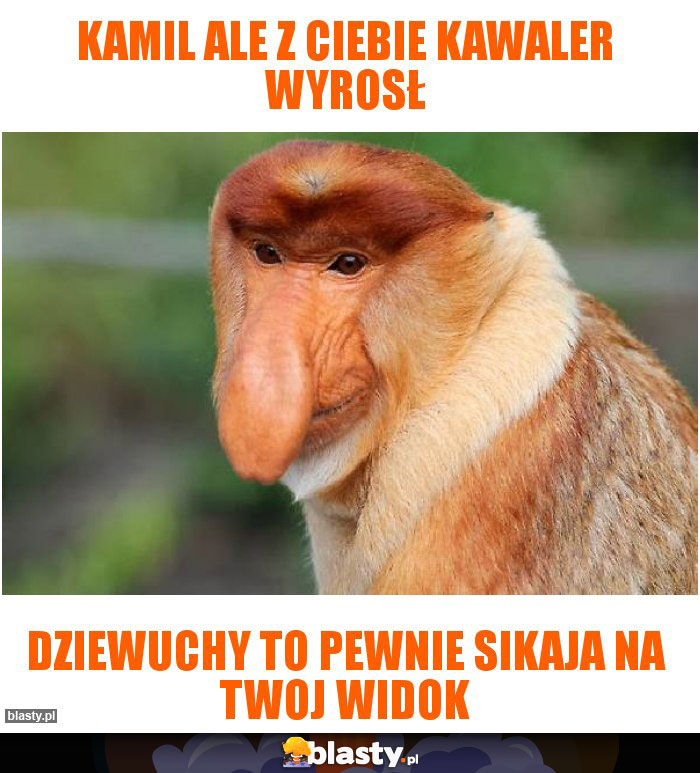 kamil ale z ciebie kawaler wyrosł