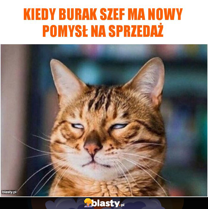 Kiedy burak szef ma nowy pomysł na sprzedaż Kiedy burak szef ma nowy pomysł na sprzedaż