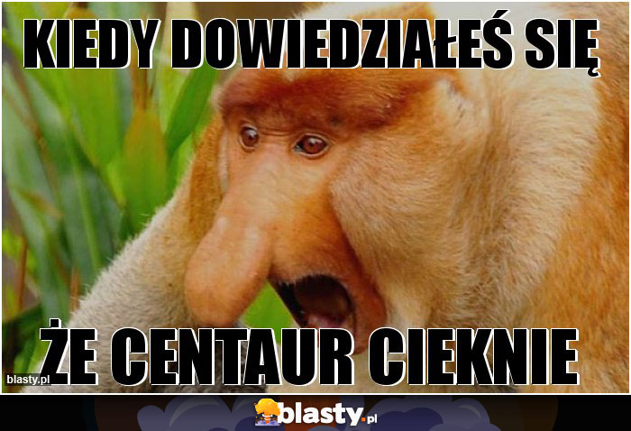 Kiedy dowiedziałeś się