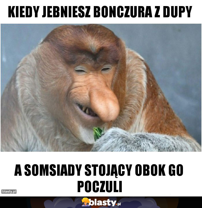 Kiedy jebniesz bonczura z dupy Kiedy jebniesz bonczura z dupy