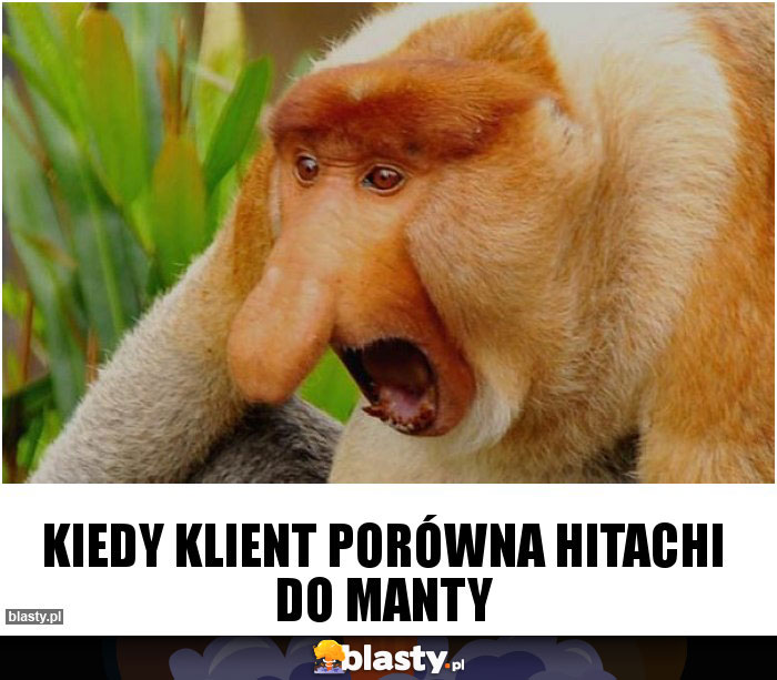 Kiedy klient porówna Hitachi do manty Kiedy klient porówna Hitachi do manty