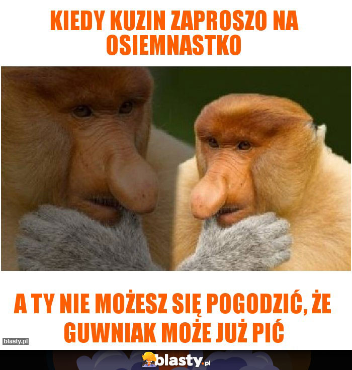 Kiedy kuzin zaproszo na osiemnastko Kiedy kuzin zaproszo na osiemnastko