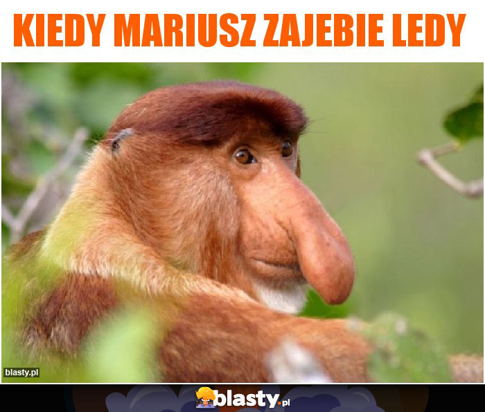 Kiedy Mariusz zajebie ledy