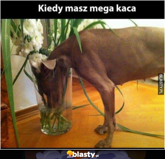 Kiedy masz mega kaca