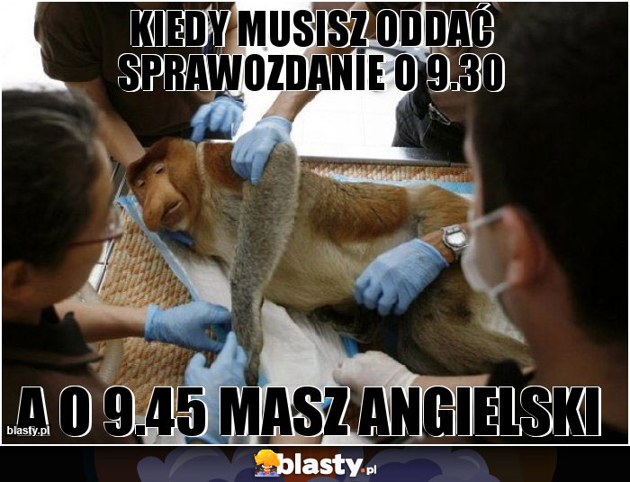 Kiedy musisz oddać sprawozdanie o 9.30 Kiedy musisz oddać sprawozdanie o 9.30