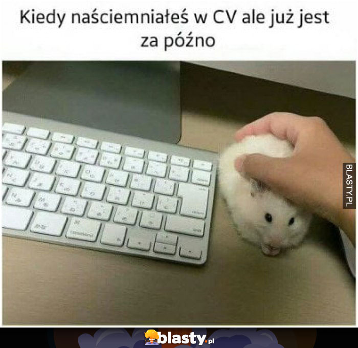 Kiedy naściemniałeś w CV ale jest już za późno