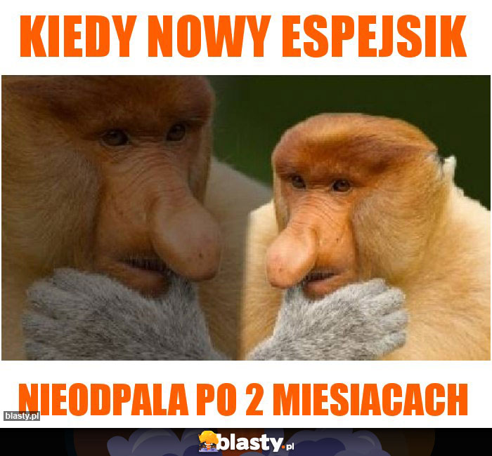 Kiedy nowy espejsik