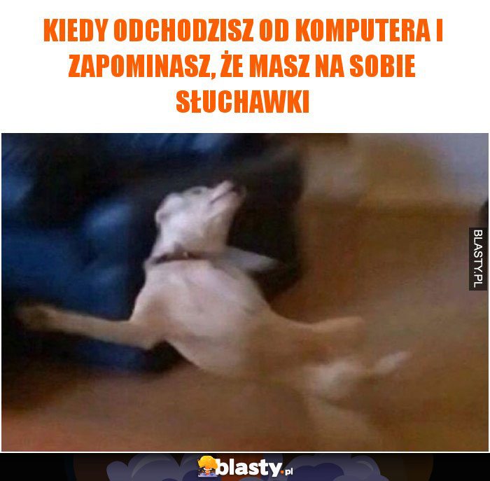 Kiedy odchodzisz od komputera i zapominasz, że masz na sobie słuchawki