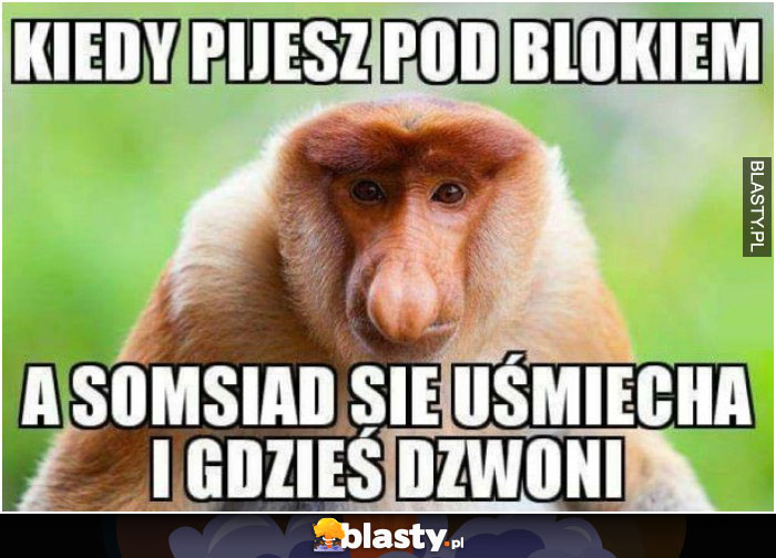 Kiedy pijesz pod blokiem