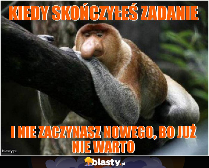 kiedy skończyłeś zadanie