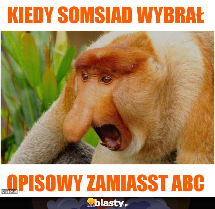 Kiedy somsiad wybrał
