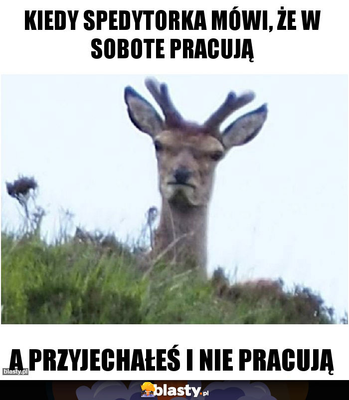 Kiedy spedytorka mówi, że w sobote pracują