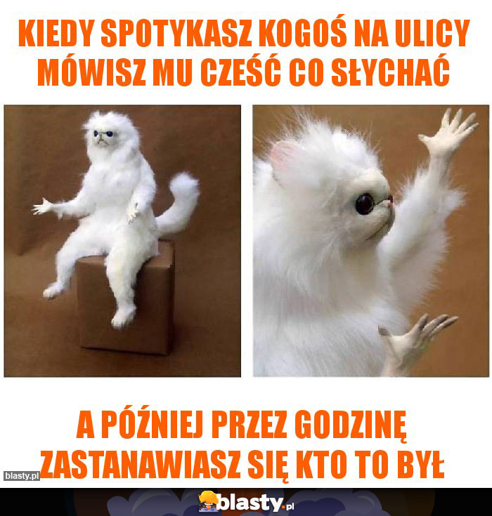 Kiedy spotykasz kogoś na ulicy mówisz mu cześć co słychać