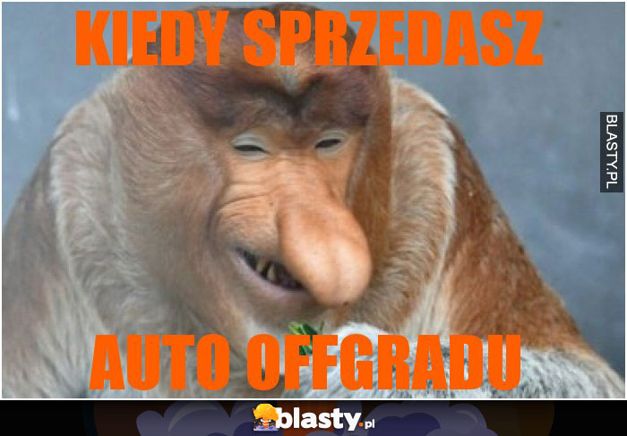 Kiedy sprzedasz